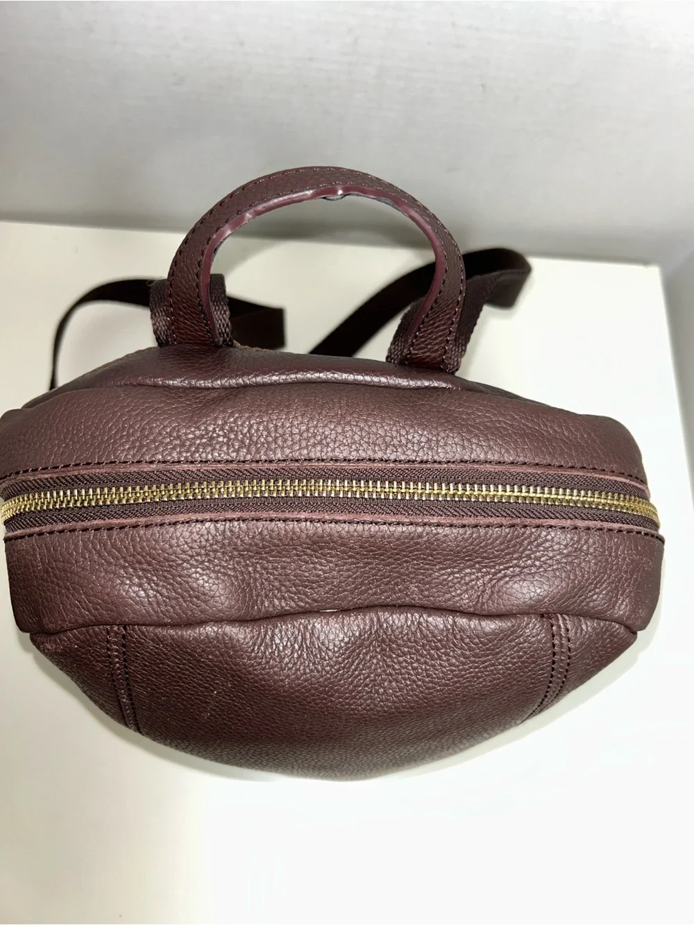 The Sak De Young Brown Pebbled Leather Zip Backpack